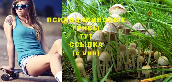 стаф Алзамай