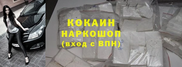 стаф Алзамай