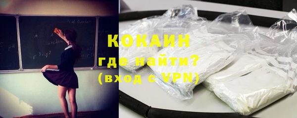 стаф Алзамай