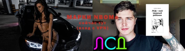 apvp Алексин