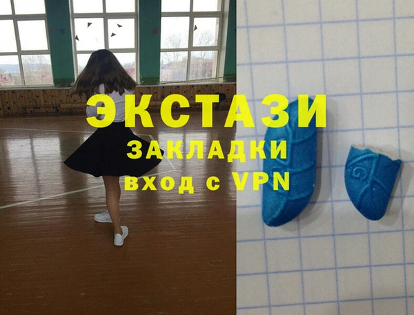 стаф Алзамай