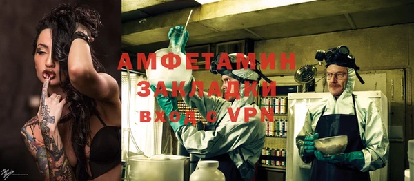 стаф Алзамай