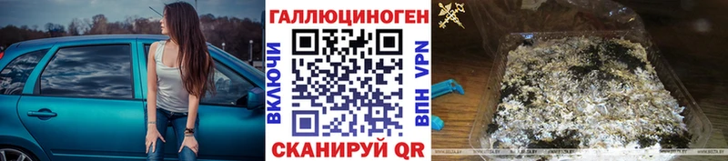 где купить наркотик  Ржев  Галлюциногенные грибы MAGIC MUSHROOMS 